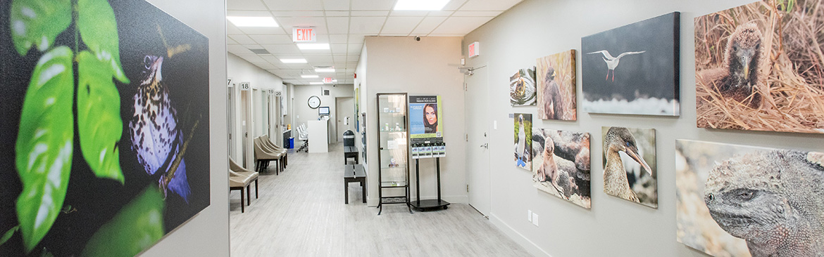 View of the clinic interior