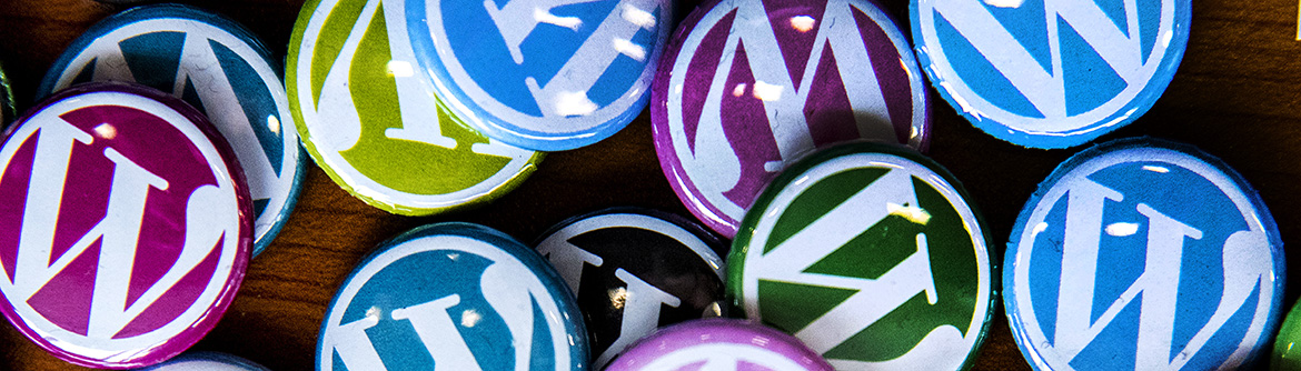 WordCamp WordPress buttons in different vibrant colors