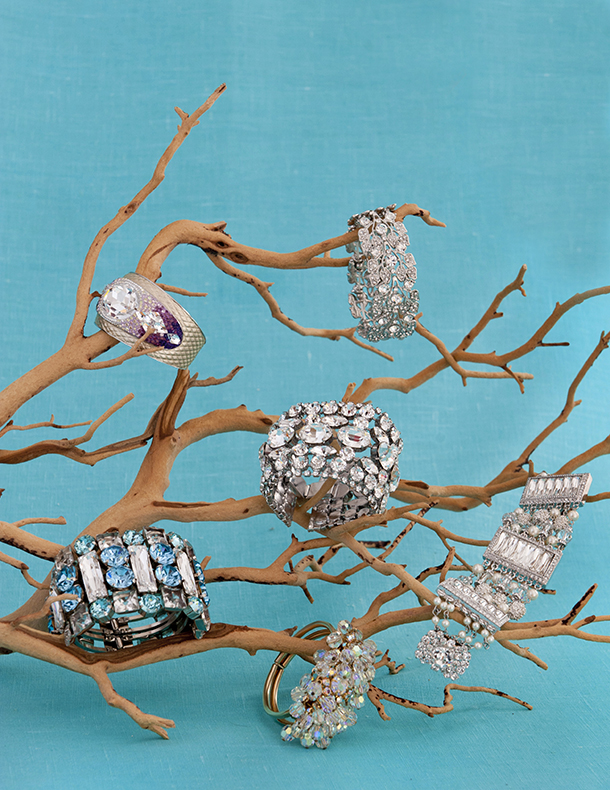 Rings and bracelets displayed on branch