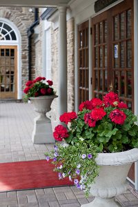 Flower pots welcome guests at the entrance