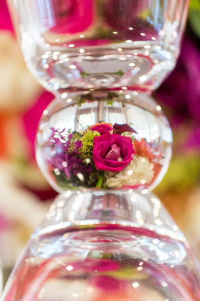 Alderlea close up of flowers inside vase